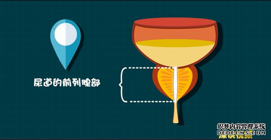 金华男科:慢性前列腺炎会导致早泄吗?