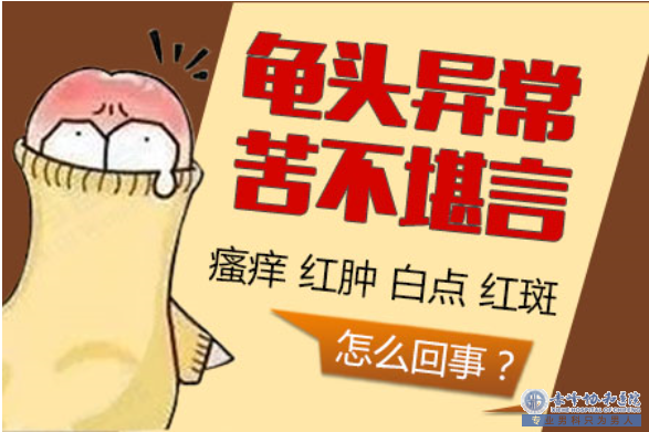 金华龟头上有“红点”是怎么回事