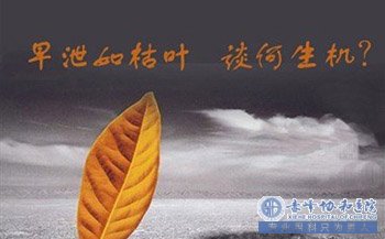 金华阿鲁科尔沁旗发生早泄,有哪些症状?